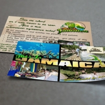 Business Flyer Design | This Is Jamaica | The Emergency Room Designs, Jamaica