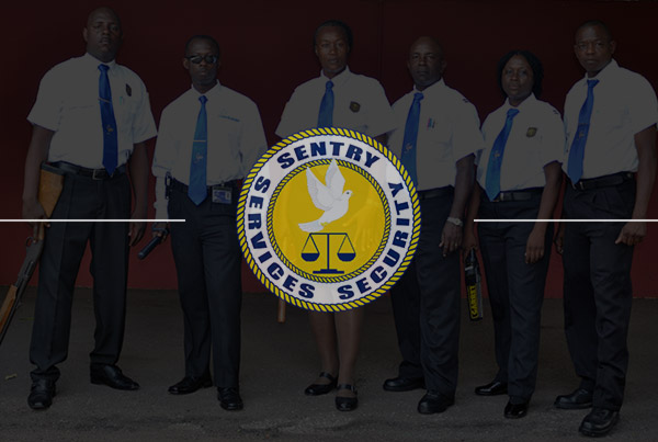 Client: Sentry Services Security